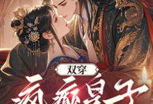 双穿，疯癫皇子靠打劫建国了陈峰小说大结局免费试读-有文学