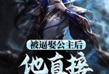 被逼娶公主后，他直接坐了皇位章节免费在线阅读，王修苏晚晴完结版-有文学