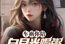 车祸你陪白月光喝粥，我走你哭啥小说免费资源，车祸你陪白月光喝粥，我走你哭啥在线阅读-有文学