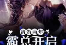 《离婚两年，霸总开启追妻之旅》厉璟辰姜彤小说免费阅读完整版-有文学