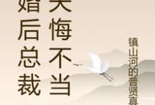 离婚后总裁前夫悔不当初江经年颜轻语，离婚后总裁前夫悔不当初完整版最新章节-有文学