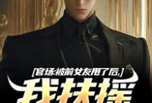 官场：被前女友甩了后，我扶摇直上小说有没有完整的免费版本在线阅读？-有文学