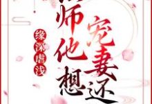 《缘深虐浅:法师他想宠妻还俗》青姝小说免费阅读完整版-有文学
