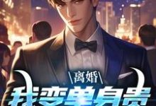 离婚:我变单身贵族强势追爱完整版小说,离婚:我变单身贵族强势追爱免费阅读-有文学