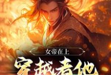 秦铭小说免费阅读完整版-有文学