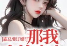 沈徽林项明峥小说叫什么（霸总要订婚？那我拿钱走人完整版免费阅读）-有文学