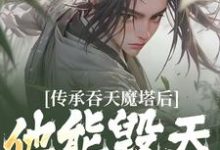 《传承吞天魔塔后,他能毁天灭地!》陈凡叶红莲小说免费阅读完整版-有文学