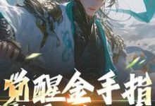 完整版小说《觉醒金手指，我要做人皇》免费阅读-有文学