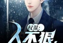 在线免费阅读权谋:人不狠,站不稳完整小说-有文学