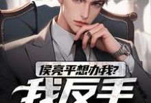 小说完整版《侯亮平想办我?我反手举报他!》免费阅读-有文学