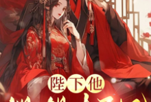 免费在线阅读陛下他觊觎太子妃小说的正规网站有哪些？-有文学