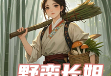 小说《野蛮长姐有点怪》章节免费阅读-有文学