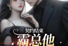 宋清殊盛熙川完整版《契约结束,霸总他跟我玩套路》小说免费阅读-有文学