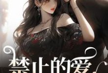 小说《禁止的爱,多情的他》章节免费阅读-有文学