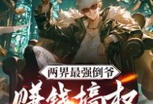 赵辰小说两界最强倒爷，赚钱搞权夺天下完整版阅读-有文学