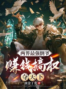 赵辰小说两界最强倒爷，赚钱搞权夺天下完整版阅读