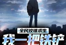 全民坟堆求生,我一把铁铲打天下小说,全民坟堆求生,我一把铁铲打天下在线阅读-有文学