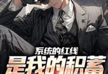 完结版《系统的红线,是我的积蓄不超一万块》在线免费阅读-有文学