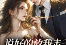 完结版《说好的放我走，你咋又锁门了》章节阅读-有文学