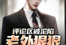 完结版《评论区被沦陷,老外狠狠羡慕了》在线免费阅读-有文学