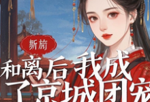 小说完整版《和离后我成了京城团宠》免费阅读-有文学