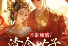 完整版小说《不准和离？清冷世子追妻火葬场》免费阅读-有文学