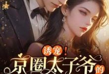 诱宠!京圈太子爷的白月光回来了小说完结版章节免费阅读-有文学