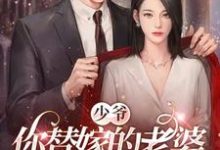 完结版《少爷，你替嫁的老婆原来是大佬》章节阅读-有文学