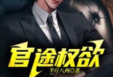 官途权欲小说的免费电子版在哪里可以下载或阅读?-有文学