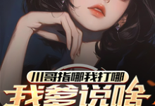 川哥指哪我打哪，我爹说啥就是啥这本小说在哪里可以看？哪里有免费试读章节？-有文学