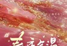 温羽宋青恕小说春夜余温章节免费阅读-有文学