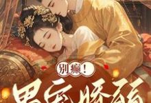 别癫！男宠娇弱，咋会是疯批太子祝卿安夜钺，别癫！男宠娇弱，咋会是疯批太子章节在线阅读-有文学