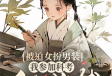 小说完整版《被迫女扮男装，我参加科考做首辅》免费阅读-有文学