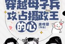 已完结小说《穿越母子兵，攻占摄政王的心》在线章节阅读-有文学