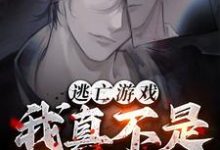 叶翊小说在线章节免费阅读(逃亡游戏:我真不是杀人犯!无弹窗无删减)-有文学