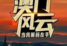 求澳门风云：当我筹码在手小说免费资源-有文学