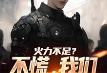小说《火力不足?不慌,我们有军事专家》完整版章节免费阅读-有文学