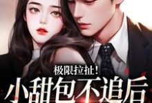免费在线阅读极限拉扯!小甜包不追后男神他慌了小说的正规网站有哪些?-有文学
