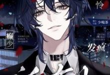 小可怜爆改癫少，发疯锤爆所有人小说有没有完结版在线？-有文学