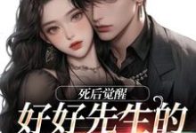 连荷居延小说《好好先生的真实面目》在线阅读-有文学