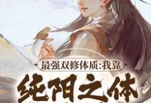 最强双修体质:我靠纯阳之体破境小说最新更新在哪里?免费在线看-有文学