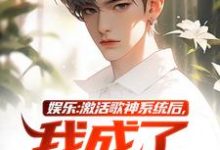 娱乐:激活歌神系统后,我成了顶流小说全文阅读需要付费吗?寻找免费资源-有文学