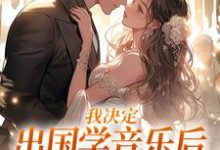 求我决定出国学音乐后，大律师后悔了小说免费资源-有文学