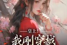 免费看皇上！我刚穿越，真不想玩宫斗小说的网站有哪些？-有文学