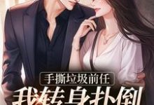 求推荐可以免费阅读手撕垃圾前任,我转身扑倒禁欲总裁小说的网站-有文学
