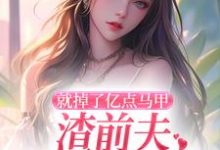 就掉了亿点马甲,渣前夫哭着求复婚小说最新更新在哪里?免费在线看-有文学