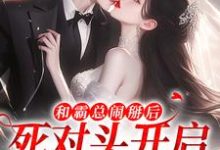 和霸总闹掰后,死对头开启追我模式小说有没有完结版在线?-有文学