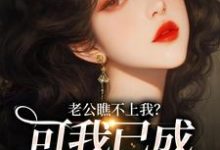 完结版《老公瞧不上我?可我已成科技大佬!》章节阅读-有文学