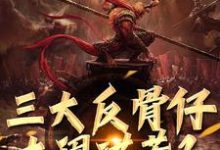 小说《三大反骨仔大闹洪荒？大圣是牵头人》完整版章节免费阅读-有文学