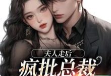 已完结小说《夫人走后,疯批总裁寻遍全世界》最新章节-有文学